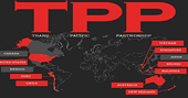 12 nước sắp nhóm họp tại Hà Nội bàn về TPP