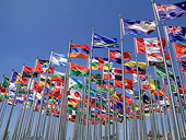 WTO chưa nhất trí về Thỏa thuận tạo thuận lợi cho thương mại