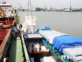 Việt Nam xuất khẩu hơn 3,6 triệu tấn gạo trong 7 tháng đầu năm