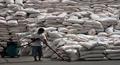 Philippines sẽ nhập 500.000 tấn gạo từ Thái Lan và Việt Nam