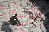 Thái Lan "giải phóng núi thóc gạo" tồn trữ theo chương trình trợ giá
