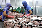 Việt Nam không bán phá giá filet cá tra, cá ba sa vào Hoa Kỳ