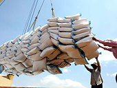 XK gạo sang các thị trường chính tại châu Phi giảm trong 10 tháng đầu năm 2014
