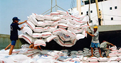 Xuất khẩu gạo sắp cán mốc 7 triệu tấn