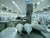 TPP và tác động đối với xuất khẩu cá ngừ Việt Nam