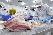 Các nghị sỹ Mỹ trình Nghị quyết bỏ áp quy định mới về cá da trơn