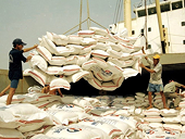 Tiếp tục điều chỉnh giảm sản lượng xuất khẩu gạo trong quý 2