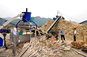 Xuất khẩu dăm gỗ Việt Nam đối mặt với khó khăn chồng chất