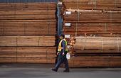 Canada đưa vấn đề tranh chấp thương mại về gỗ với Mỹ lên WTO phân xử