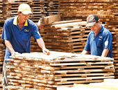 Doanh nghiệp gỗ “mắc kẹt” tại Mỹ