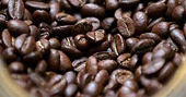 Cánh cửa rộng mở cho xuất khẩu cà phê năm 2024 chinh phục đỉnh cao mới