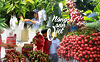 Nông sản Việt từng bước đặt chân vào những thị trường khó tính