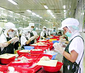 Muốn đẩy mạnh xuất khẩu cũng khó