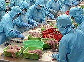 Bộ Thương mại Hoa Kỳ công bố quyết định sơ bộ của cuộc rà soát thuế chống bán phá giá lần thứ 8 đối với sản phẩm cá Tra-Basa xuấ