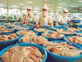 Agifish chịu thuế chống bán phá giá 15%