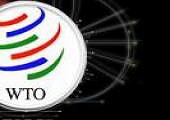 Ấn Độ yêu cầu Mỹ sớm thực hiện phán quyết của WTO trong vụ kiện tôm