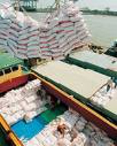 Dự kiến áp dụng cấp C/O cho hàng dệt may xuất khẩu sang Hoa Kỳ từ 1/10/2008 