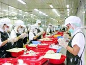 Quy định về chống đánh bắt cá bất hợp pháp của liên minh Châu Âu 