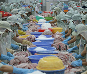 Hà Lan: một nhà NK “quỵt” tiền hàng thủy sản của DN VN 