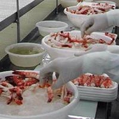 Xuất khẩu thủy sản Việt Nam sang Nhật sẽ tăng mạnh 