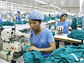 Xoay xở tìm hợp đồng mới