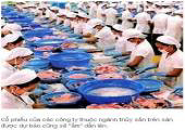 96% thủy sản nuôi của Trung Quốc đáp ứng tiêu chuẩn an toàn thực phẩm