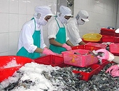 860 triệu đồng phát triển thủy sản Nghệ An