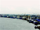 Hàng hải Việt Nam đứng ngoài nhiều công ước
