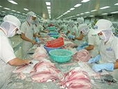 Việt Nam tự kiểm soát chặt việc xuất cá tra vào Nga