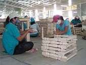 Quy định mới của Đài Loan về bao bì gỗ hàng xuất khẩu của Việt Nam