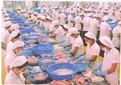 Tháng 4/2009, thanh tra thủy sản Châu Âu sẽ đến Việt Nam
