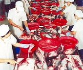 AANZFTA – Cơ hội mới cho tăng trưởng xuất khẩu của Việt Nam