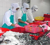 Thuế suất tôm vào Nhật 0%