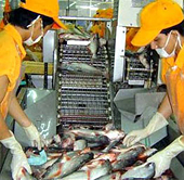 Dân Nga ưa chuộng cá tra 