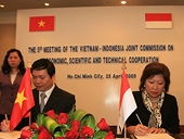 Việt Nam- Indonesia: Quan hệ kinh tế-thương mại không ngừng phát triển 