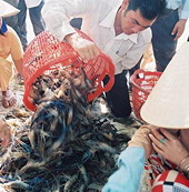 4 cường quốc xuất khẩu tôm ra tuyên bố chung