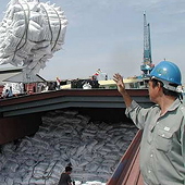 Xuất khẩu gạo VN năm thứ 20: Thiếu chiến lược đúng tầm 