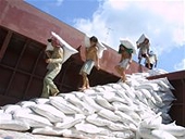 Xuất khẩu gạo vượt 1 tỉ đô la Mỹ