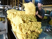 Giá nông sản diễn biến khó lường