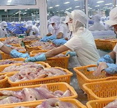 Tạm đình chỉ 2 doanh nghiệp xuất khẩu sang EU