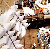 Philippines dự tính nhập khẩu gạo hơn dự kiến năm 2009