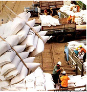 Thị trường gạo châu Á: giá giảm mạnh