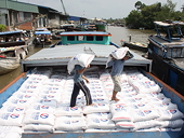 Nên sửa ngay quy chế xuất khẩu gạo