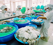 Xuất khẩu thủy sản thiếu nguyên liệu chế biến