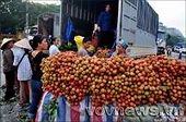 Xuất khẩu hàng nông sản vào thị trường Trung Quốc: Cần chuyên nghiệp hóa
