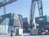 WTO: chính phủ các nước đang bóp méo thương mại