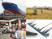 WTO: Bứt khỏi hình thức bảo hộ để vượt khủng hoảng