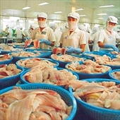 Tín hiệu tốt cho xuất khẩu cá tra sang Châu Âu