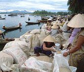 Diễn đàn quốc tế về xuất khẩu gạo và an toàn thực phẩm