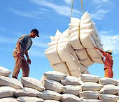Việt Nam, Thái Lan hợp tác giữ ổn định giá gạo